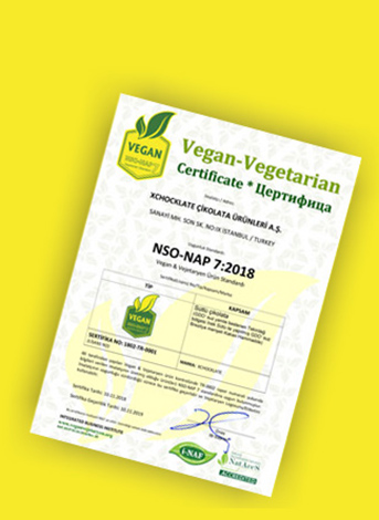 ornek-vegan-vejetaryen-belgesi