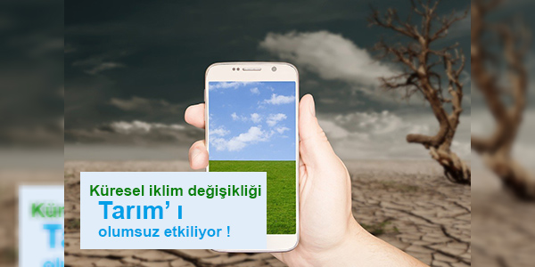 Küresel iklim değişikliği, ekilebilir tarım arazilerine zarar veriyor !